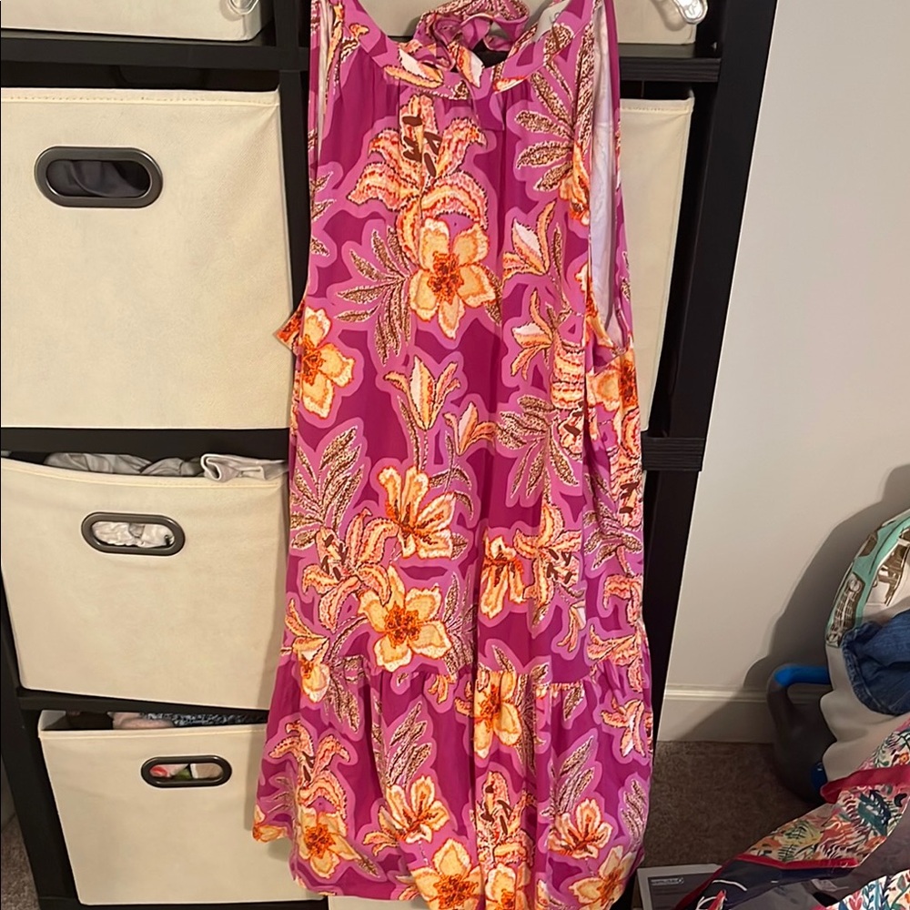Loft Floral Pink and Orange Dress